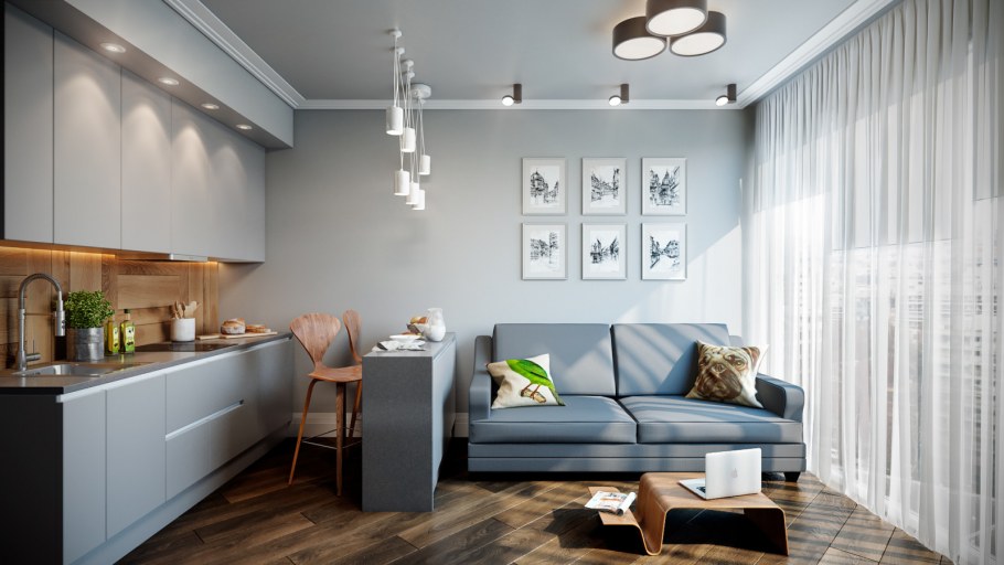 Кухня с гостинной 15кв.м планировка