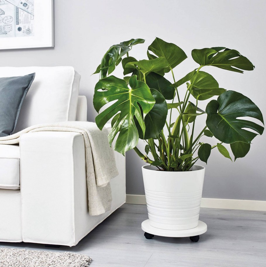 Искусственные цветы для домашнего интерьера