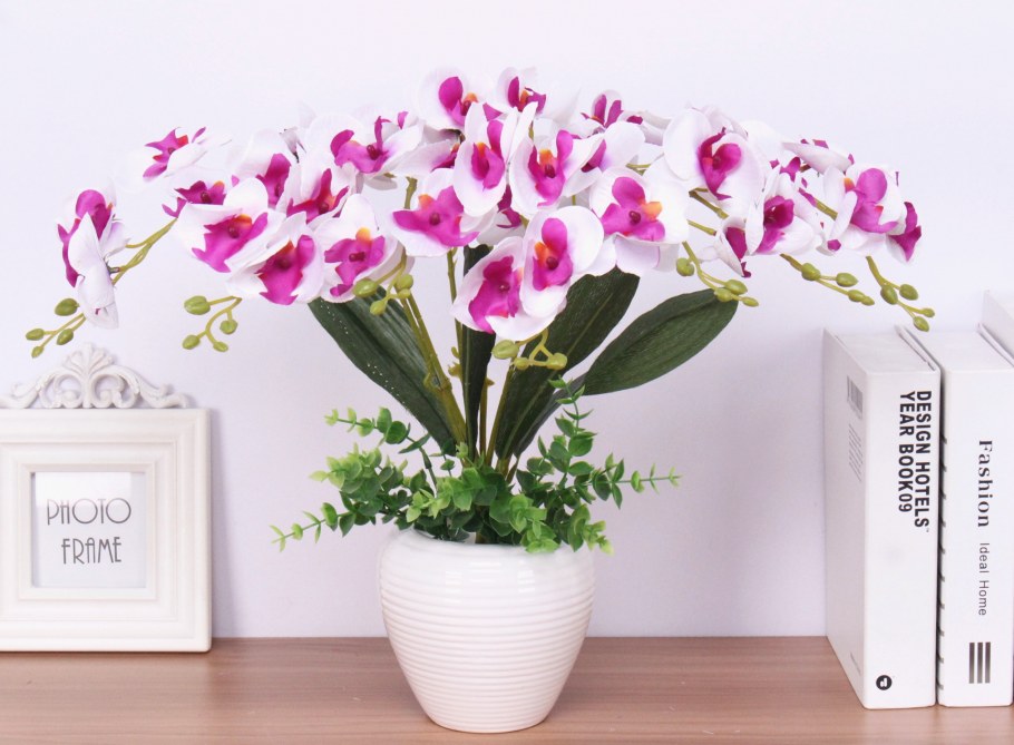 Lechuza Classico Color 18