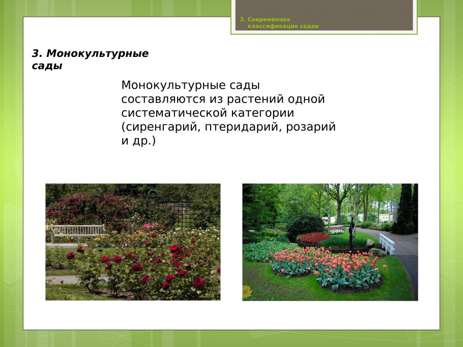 Ландшафтный проект 3д