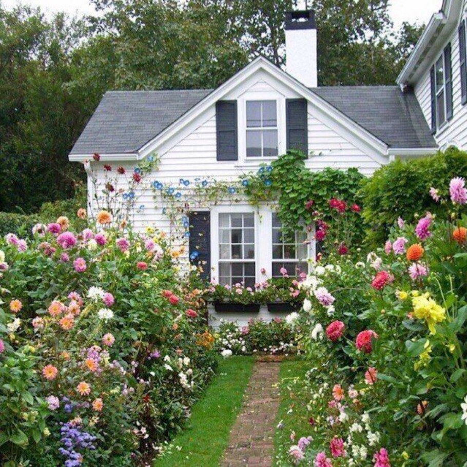 Садовый участок с домиком