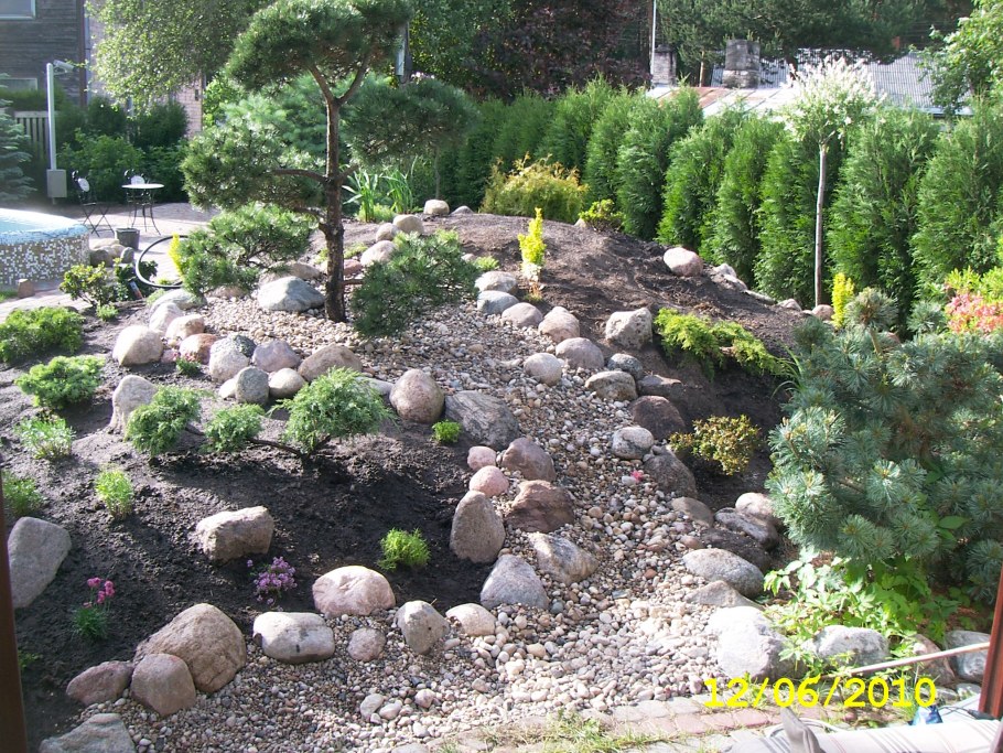 Барбарис Тунберга в рокарии