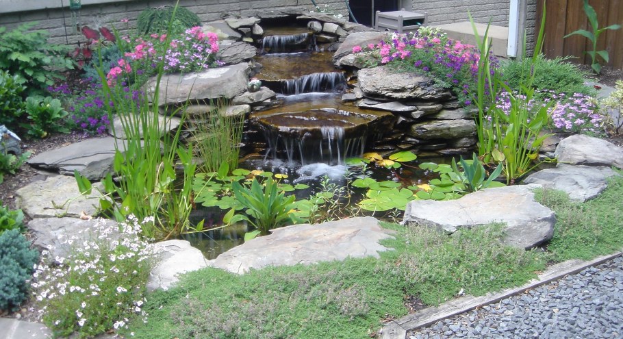 Альпинарий горный ручей