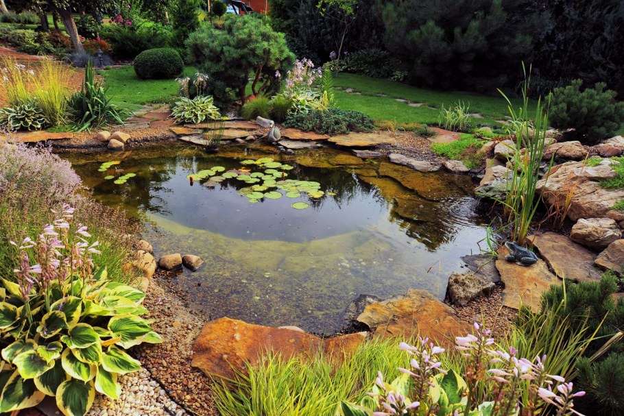 Огородный прудик