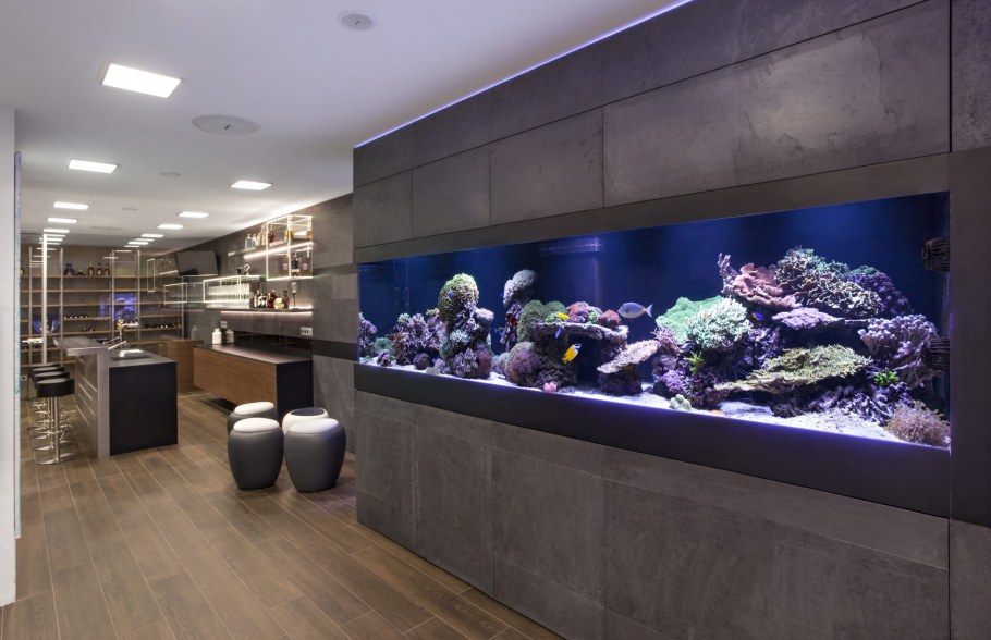 Морской аквариум Рыбник