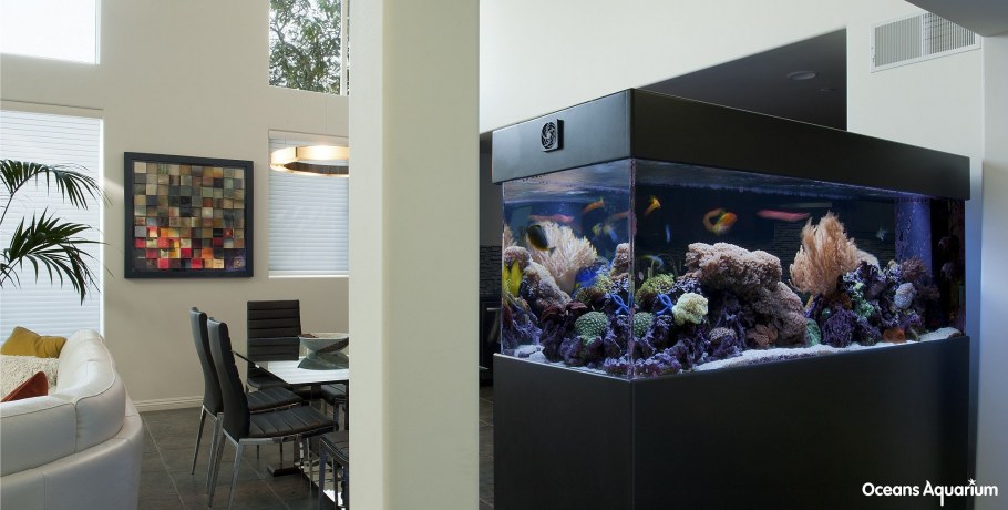 Панорамный аквариум в интерьере