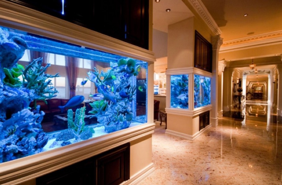 Большой красивый аквариум