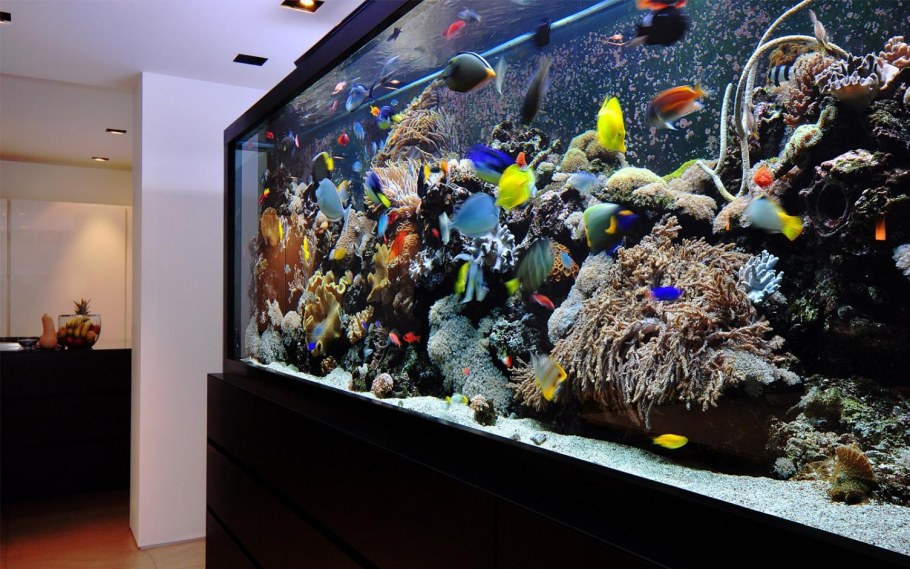 Аквариум с рыбками в интерьере