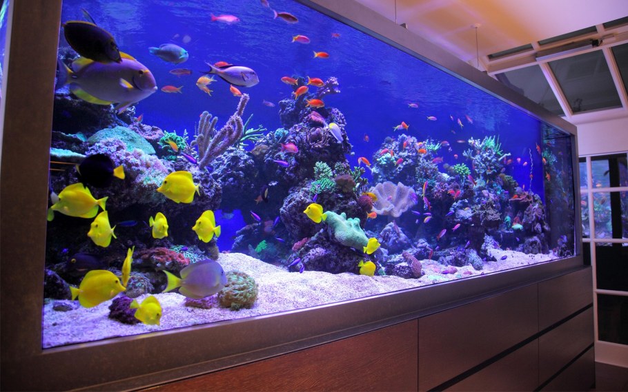 Встроенные аквариумы в интерьере