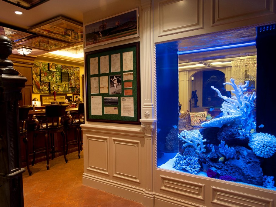 Красивые большие аквариумы
