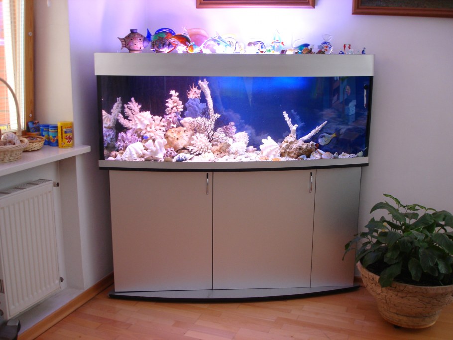 Аквариум в общественном интерьере