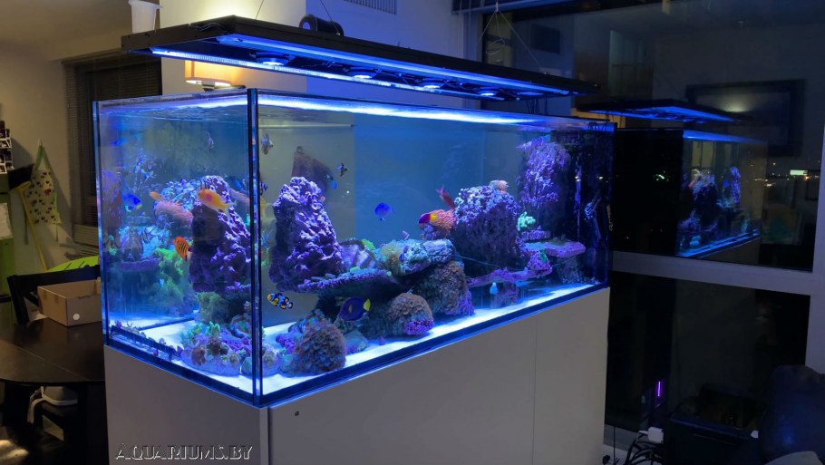 Необычные аквариумы