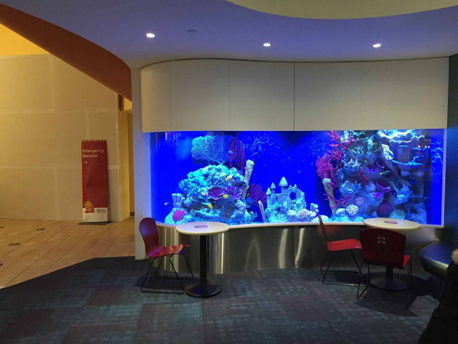 Необычные аквариумы в интерьере