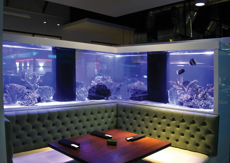 Аквариум в офисе
