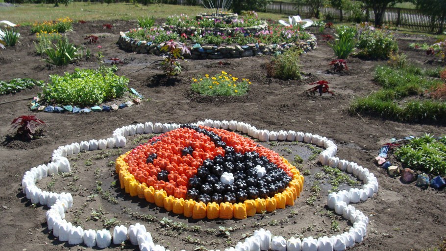 Дикор на пришкольном участке