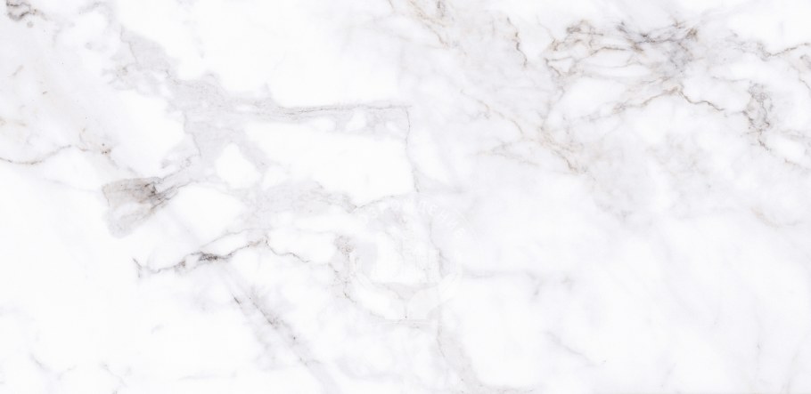 Калакатта nr0330