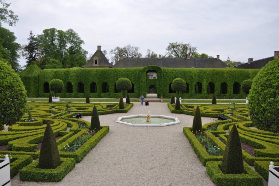 Роза Шато де Версаль