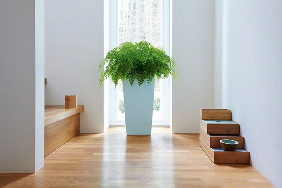 Кашпо Лечуза Кубико в интерьере