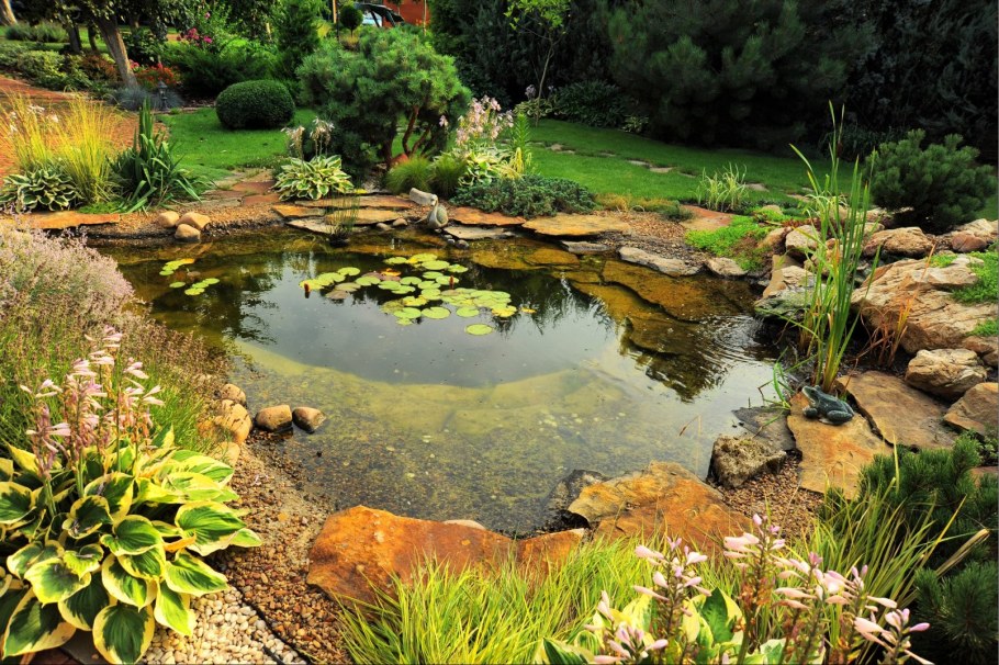 Огородный прудик