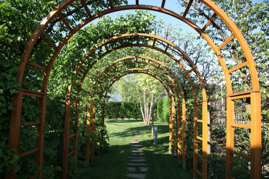 Пергола Берсо в ландшафтном дизайне