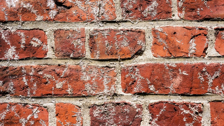 Стены в скандинавском стиле