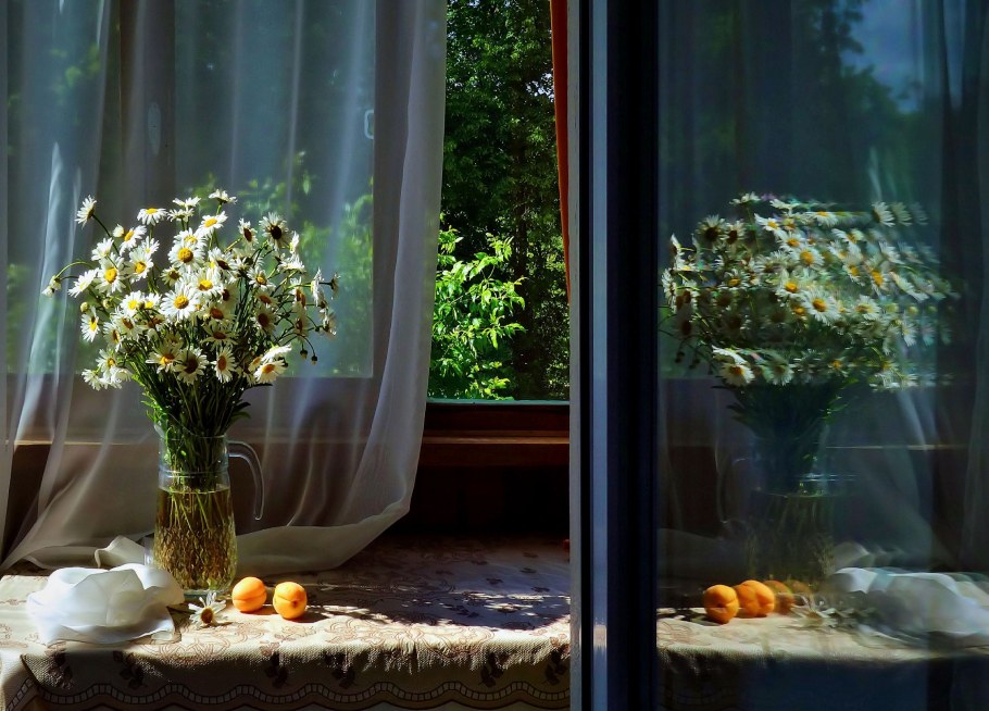 Фотофактура Маросейка