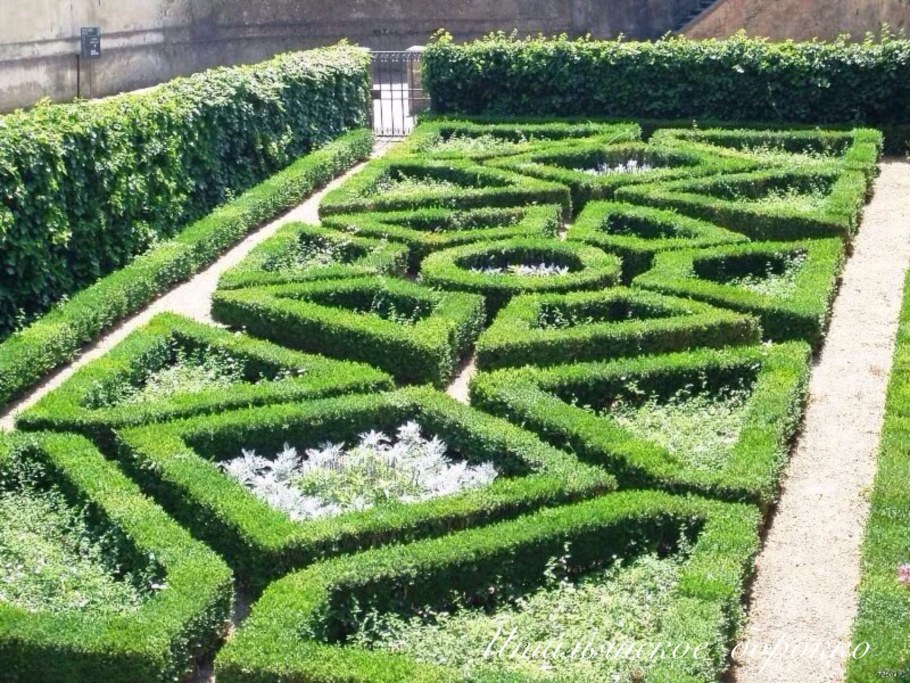 Арабеска в садово-Парковом искусстве