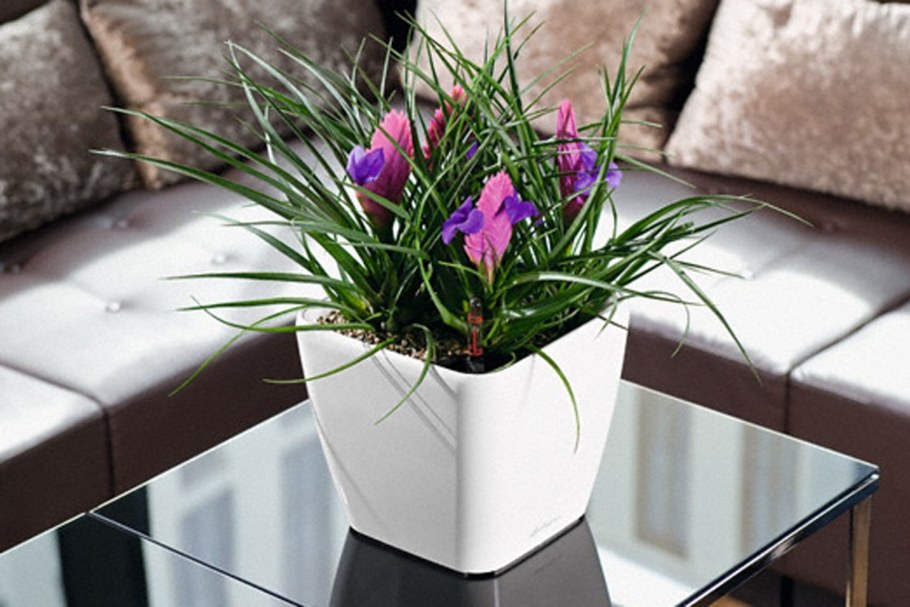 Горшки для цветов в интерьере