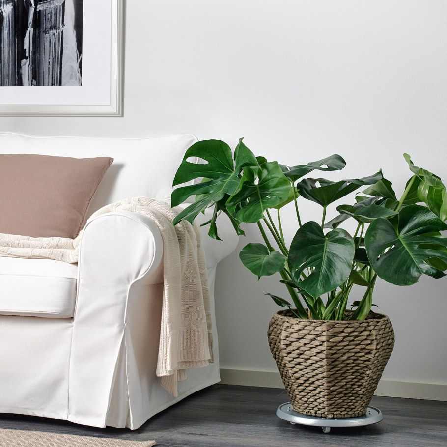 Кашпо ДРУВФЛЭДЕР икеа