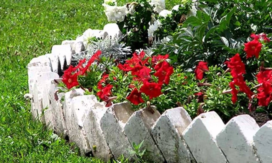 Цветник в приствольном круге