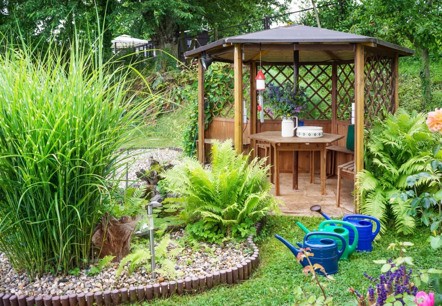 Любимая дача сад и огород