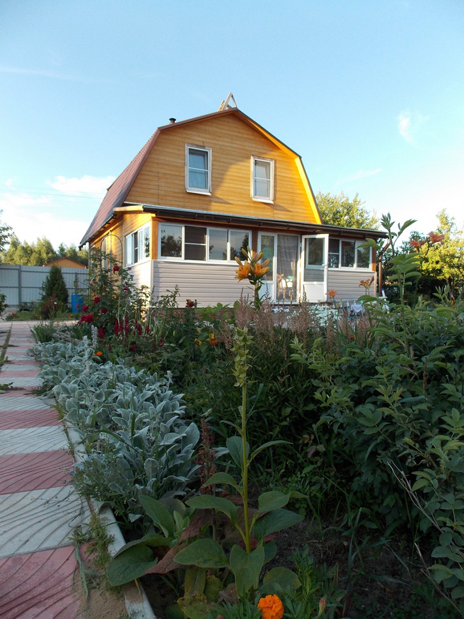 Реальные дачи