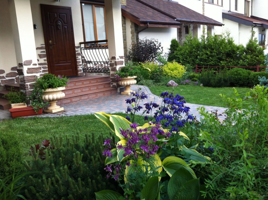 Веранда входная зона Озеленение