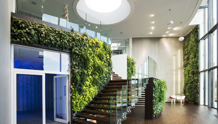 Фитодизайн вертикальное Озеленение