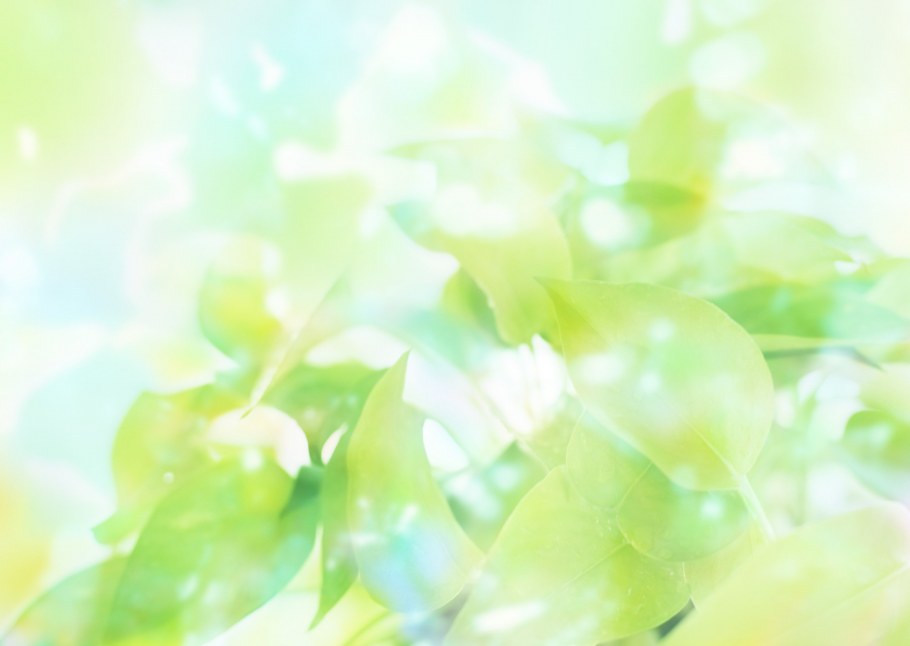 Мятный цвет стен в интерьере