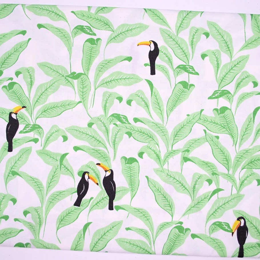 Обои с Колибри для стен фото