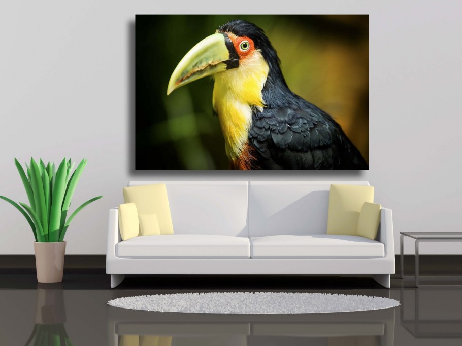 Тукан тропики вектор