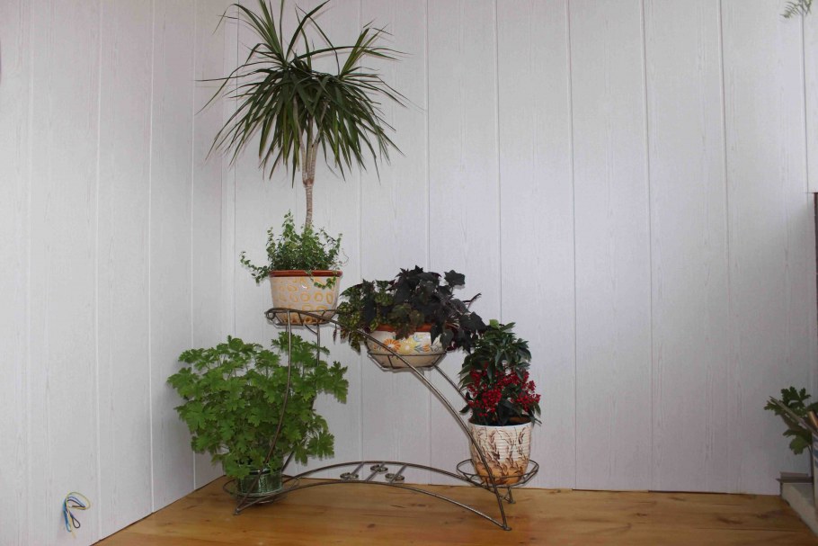 Украшение угла комнаты цветами