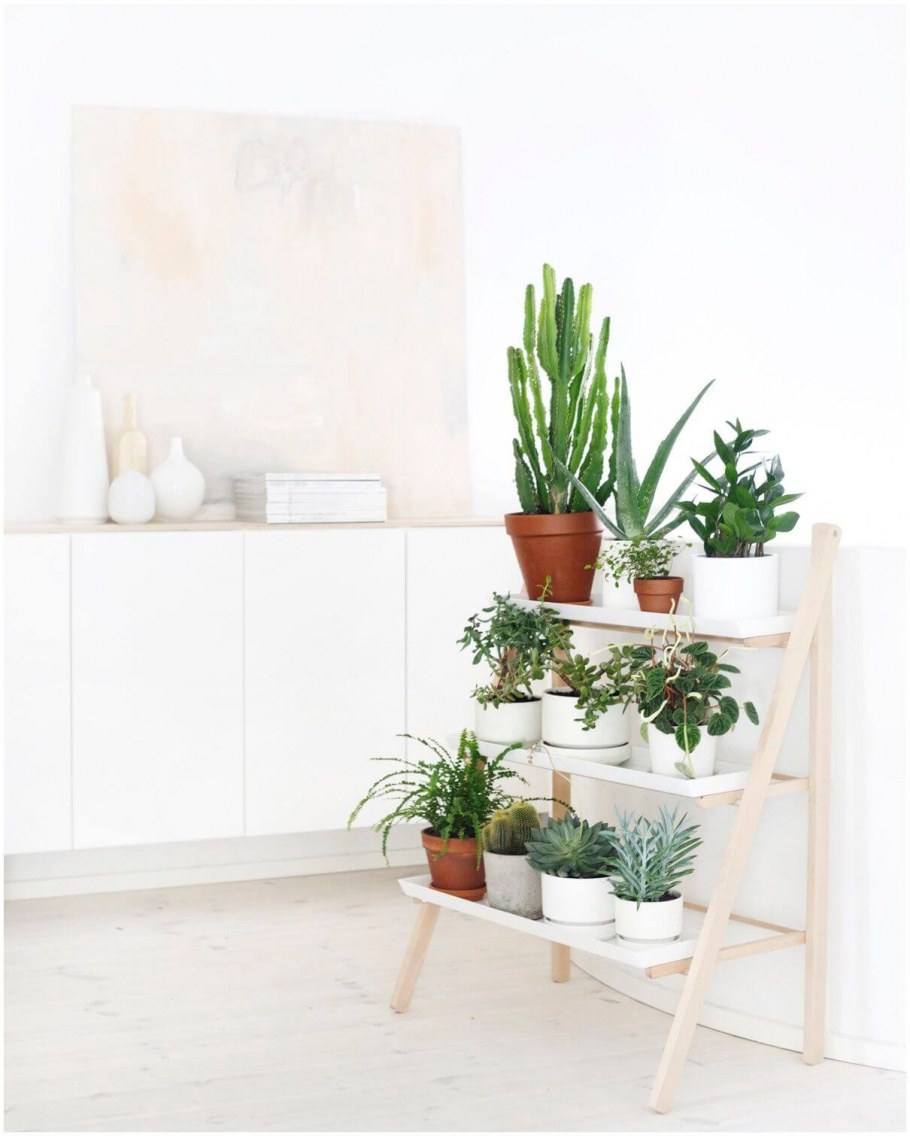 Цветочный уголок в квартире в скандинавском стиле