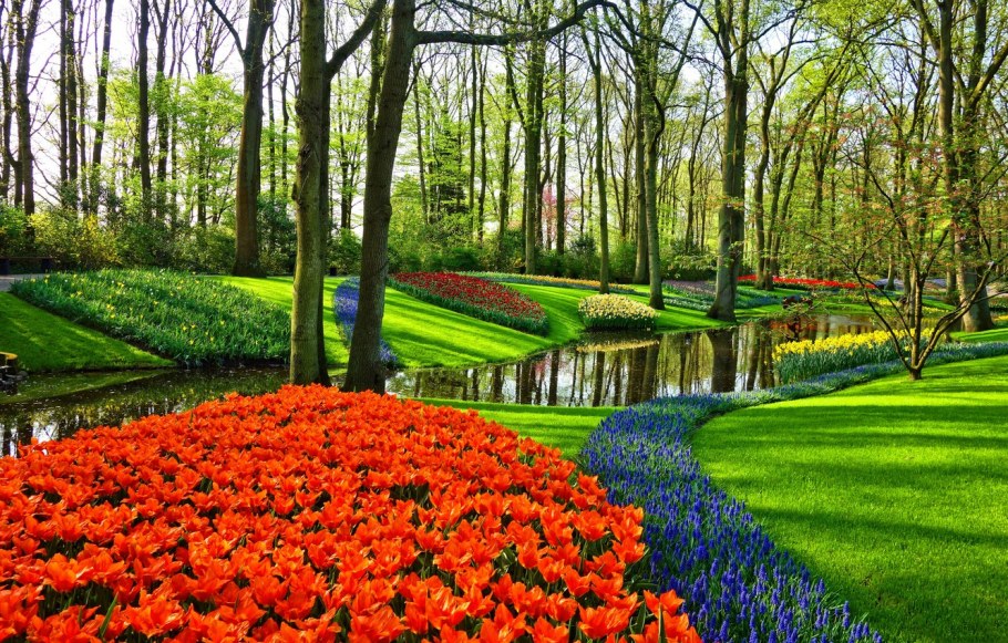 Keukenhof Gardens Нидерланды