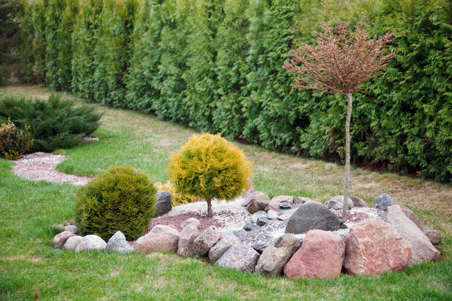 Рокарий с туями