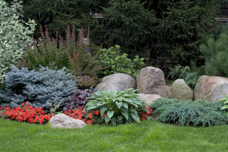 Хвойный рокарий миксбордер