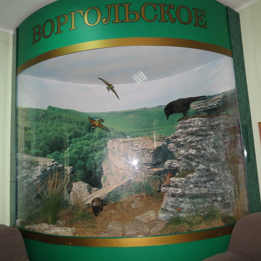 Калевальский заповедник Карелия