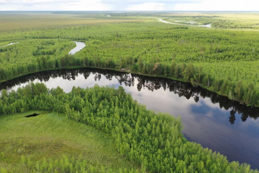 Картина из слэба