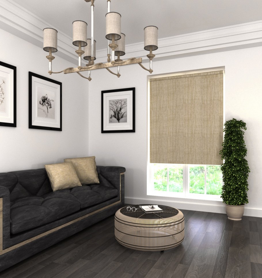 Рулонные шторы в гостиной