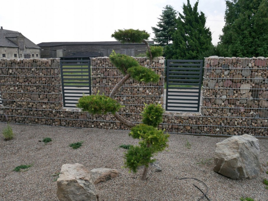 Пергоны забор из пергонов