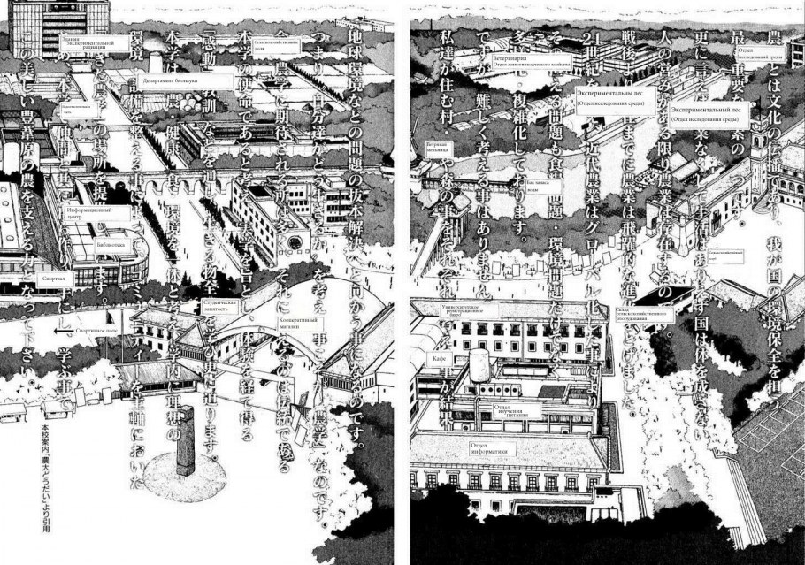 Квартал Асакуса Токио