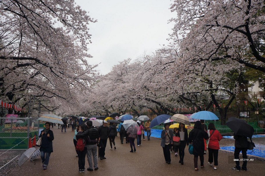 Манга сила святых вокруг нас