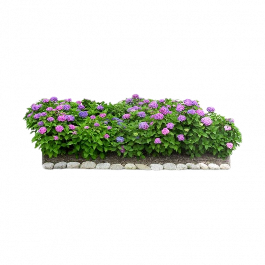 Клумба без фона