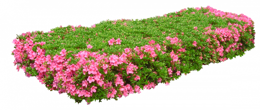 Цветник для фотошопа